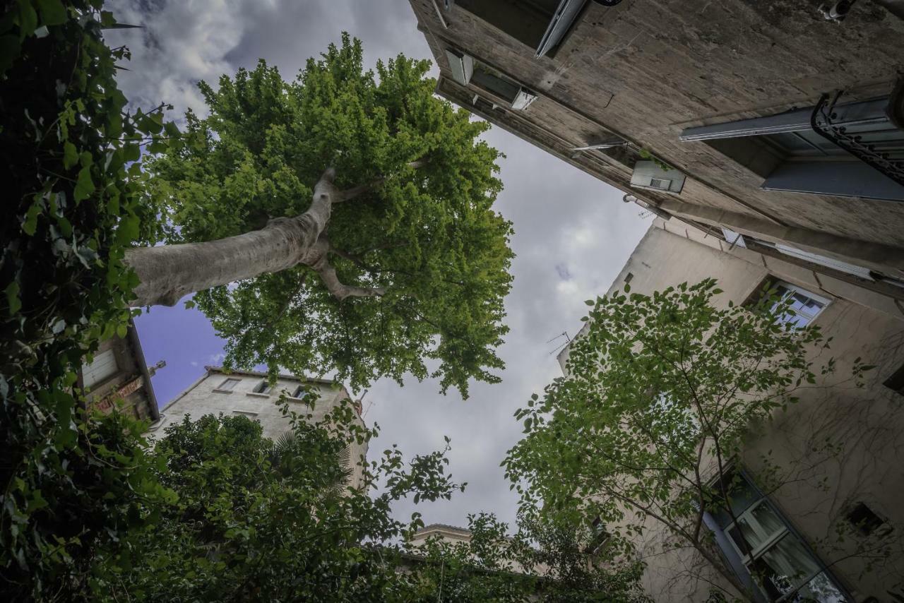 Les Jardins De L'Ecusson - Premiere Conciergerie Apartment Монпелие Екстериор снимка