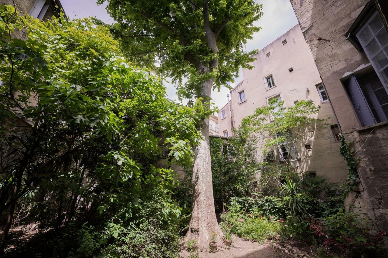 Les Jardins De L'Ecusson - Premiere Conciergerie Apartment Монпелие Екстериор снимка